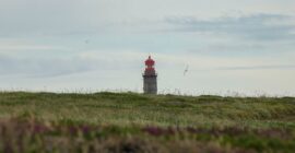 Belirsizlik Aralıklarıyla Yolculuk Suresi Tahmini: Zaman Bantları