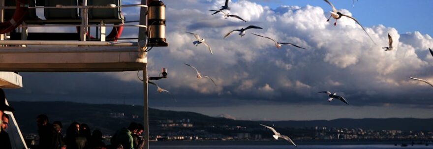 Engelli Dostu Rotalarda Yolculuk Suresi Tahmini: Adım Adım Rehber