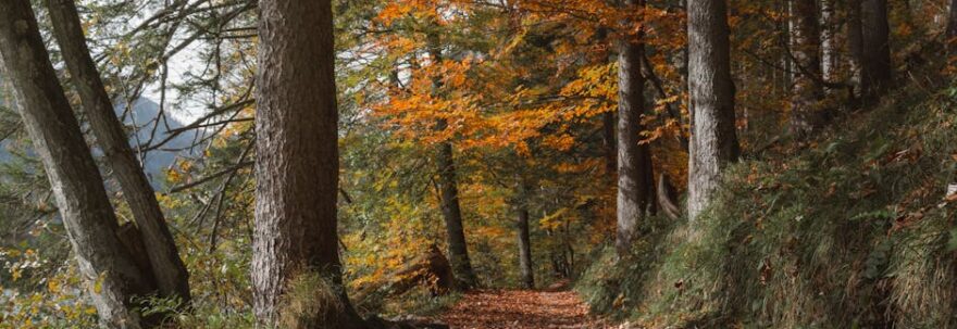 Mevsimsel Yolculuk Etkisi: Yapısal Tahmin Modeliyle Yolculuk Suresini Öngörün