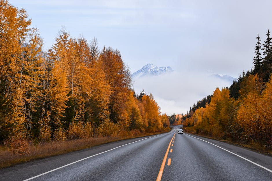 Sonbahar otoyolunda manzara görüntüsü
