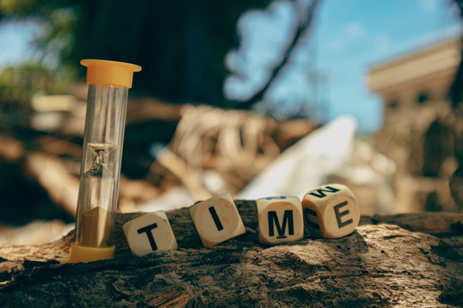 akıllı cihazlar ile dinamik zaman bantlarını optimize eden sürücüsüz görüntü