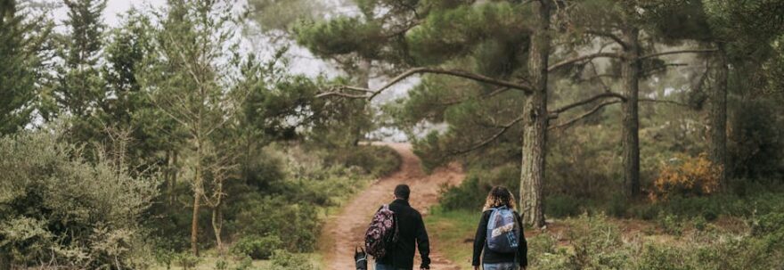 Evcil Hayvan Dostu Rota: ETA ve Konfor Yolculuğu Rehberi