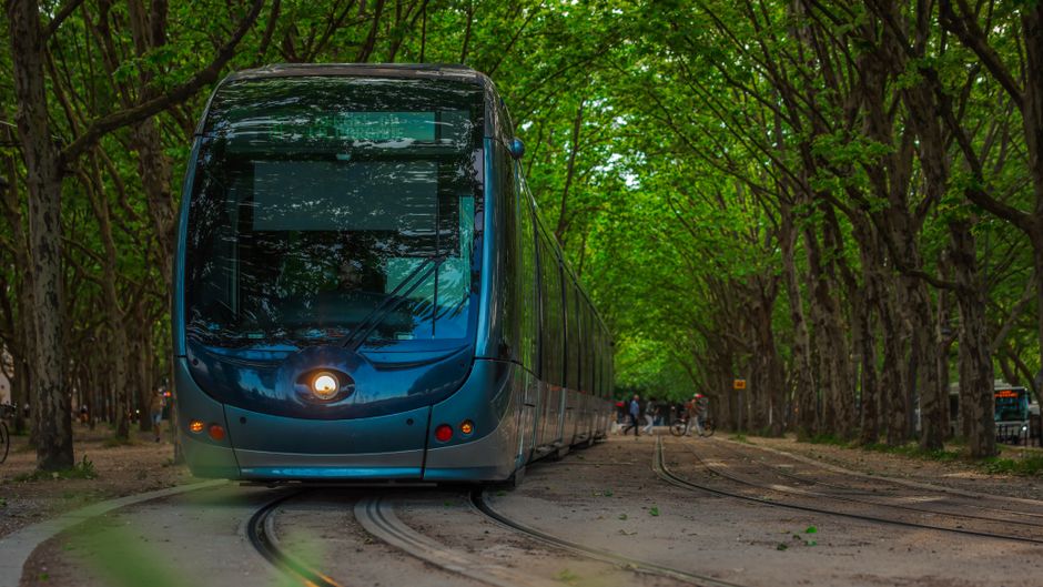 Dijital harita üzerinde sürdürülebilir ulaşım planlaması yapan kişi